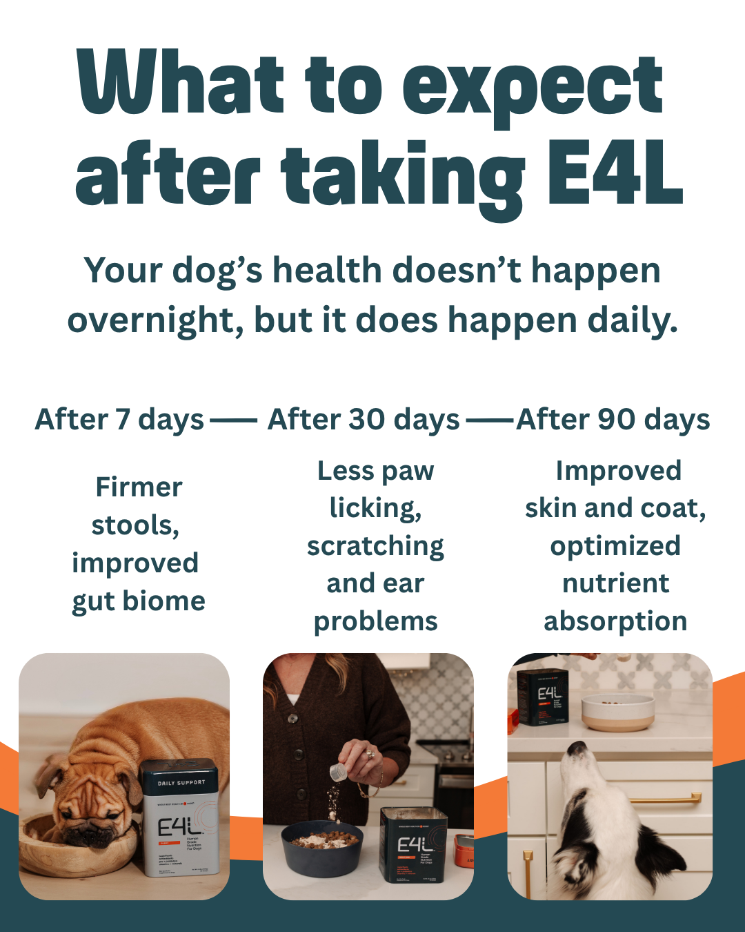 E4L Probiotic Plus*