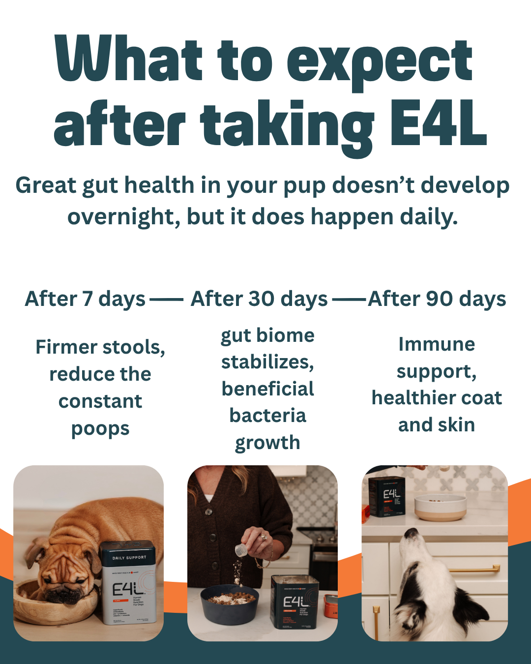 E4L Puppy Probiotic Plus*