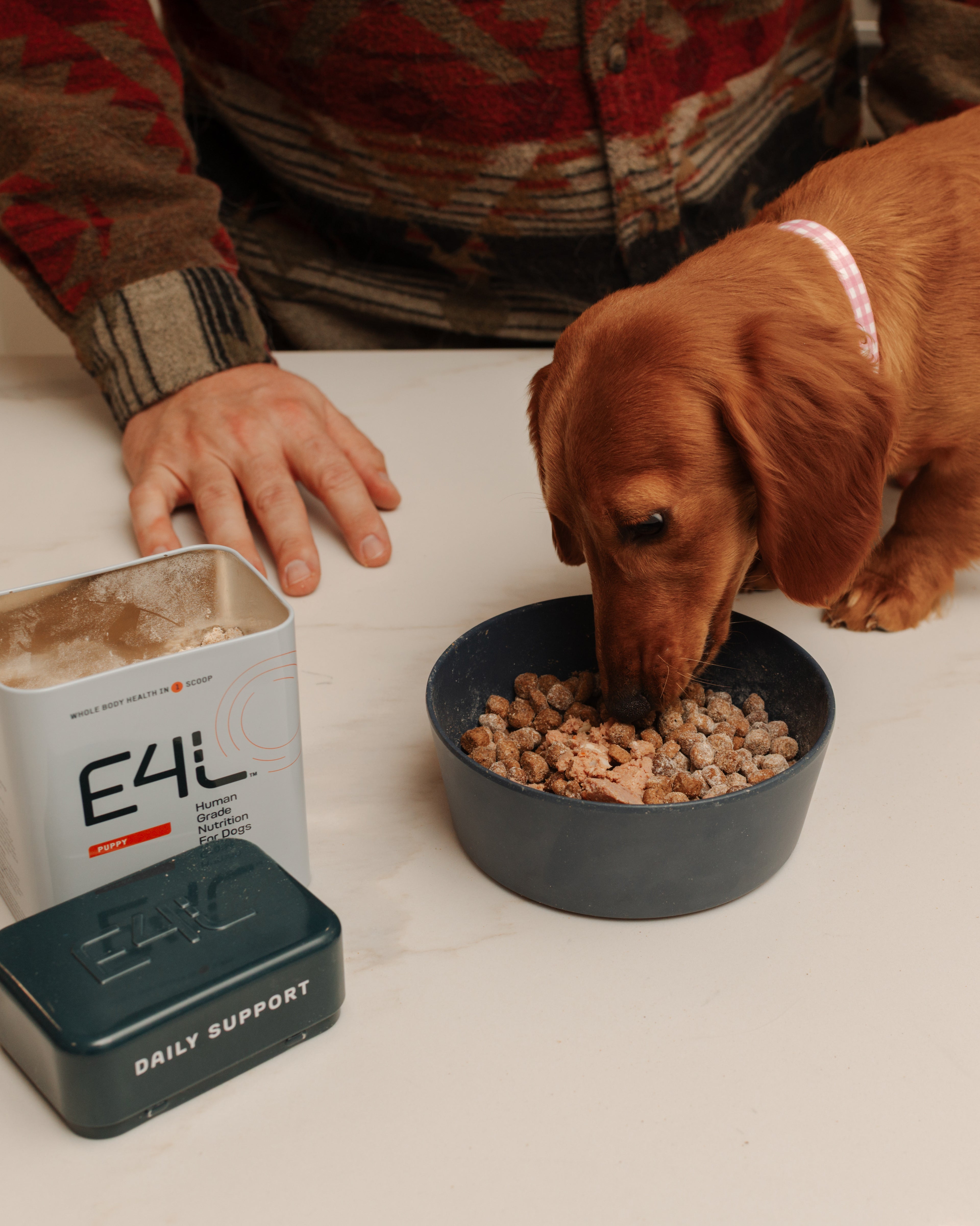 E4L for Puppies